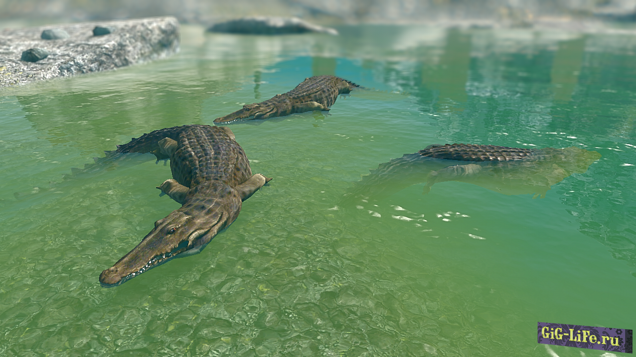 Крокодилы - монстры и животные / Crocodiles- Mihail Monsters and Animals