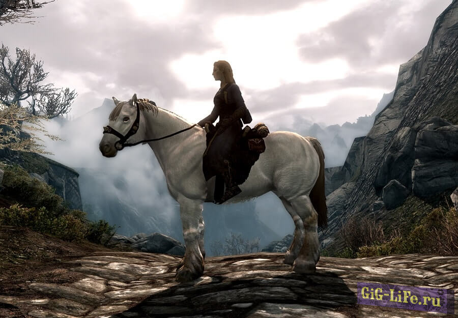 Ретекстур лошадей