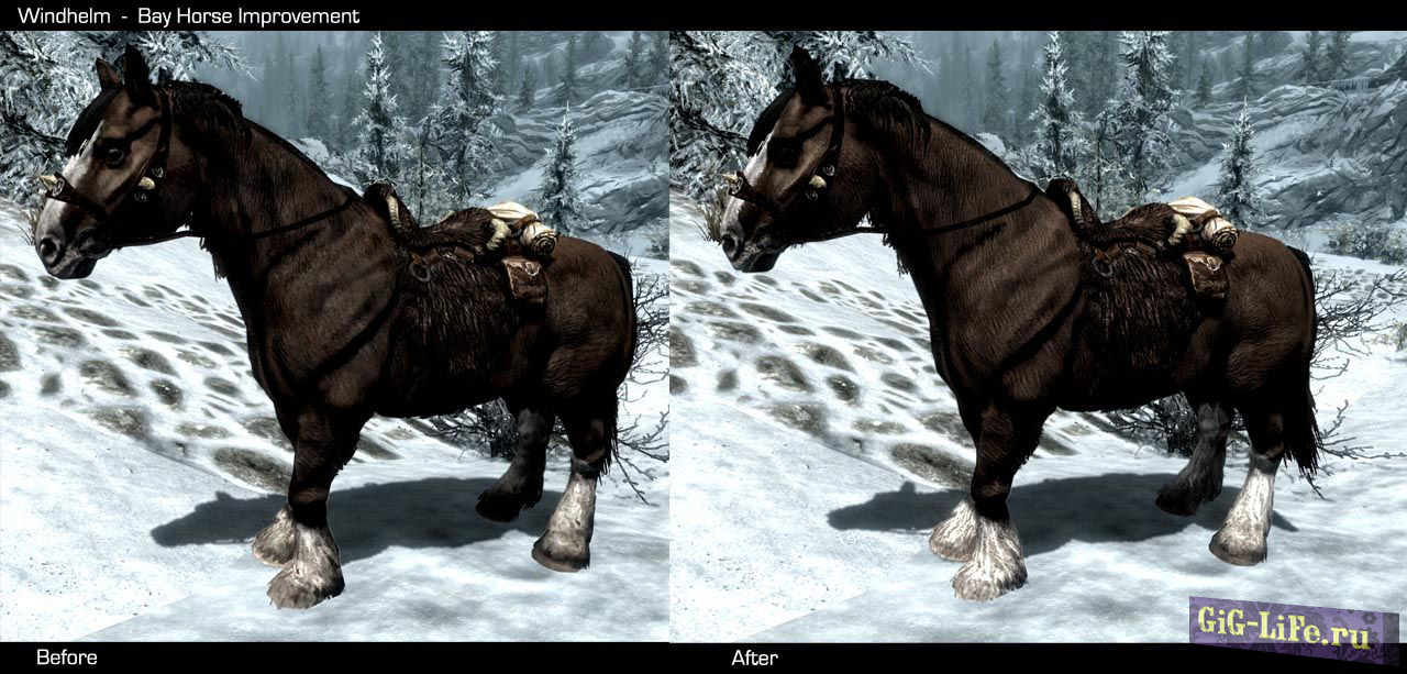 Улучшеная шкура лошадей