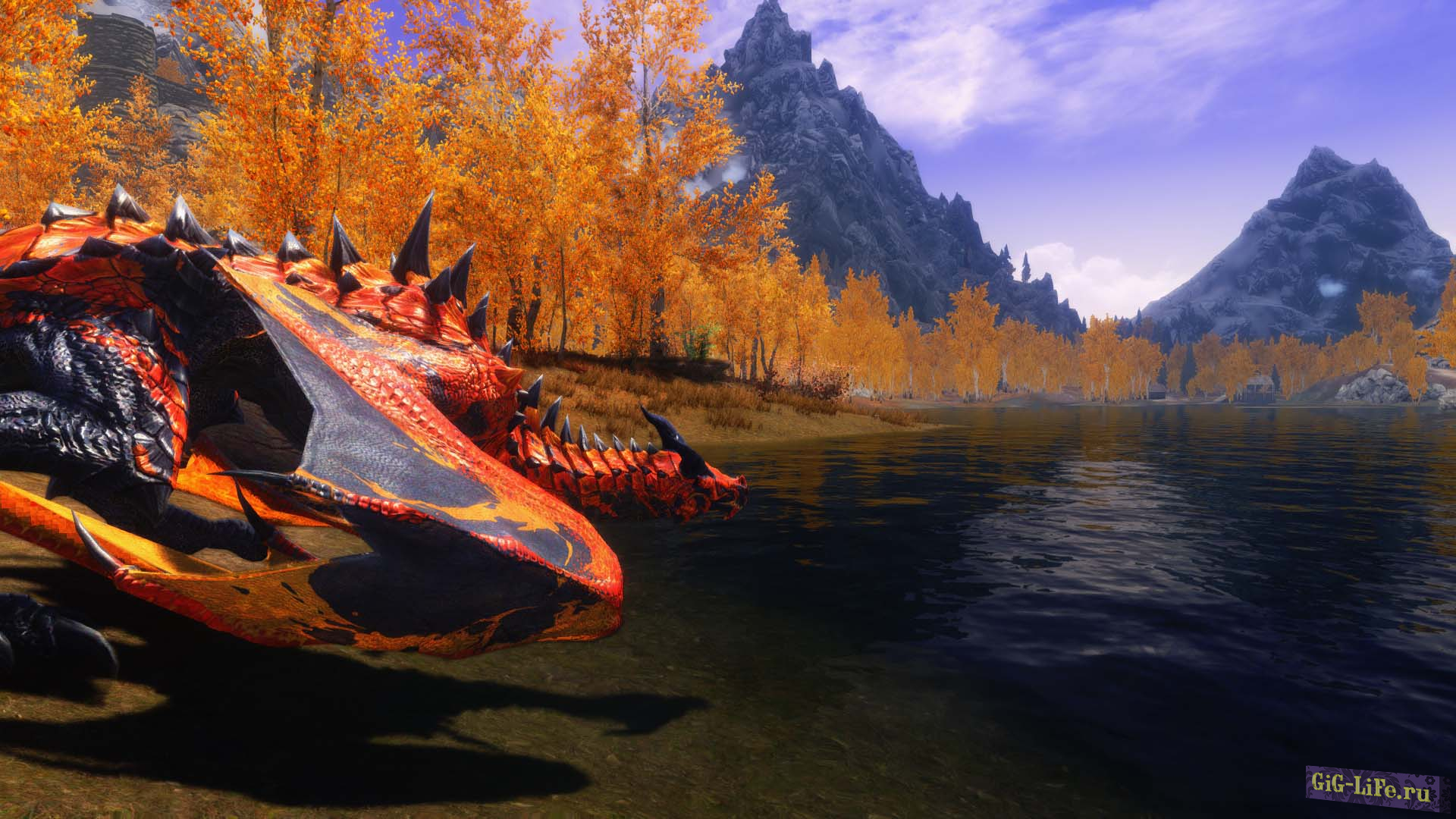 Дракон Фаалокаар / Faalokaar