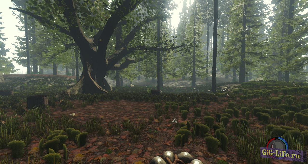 Патч для отключения теней в The Forest / Disabling Shadows The Forest (0.11-0.14)