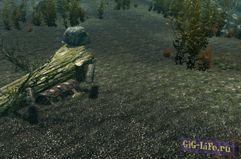 Подводные сокровища / Underwater Treasure