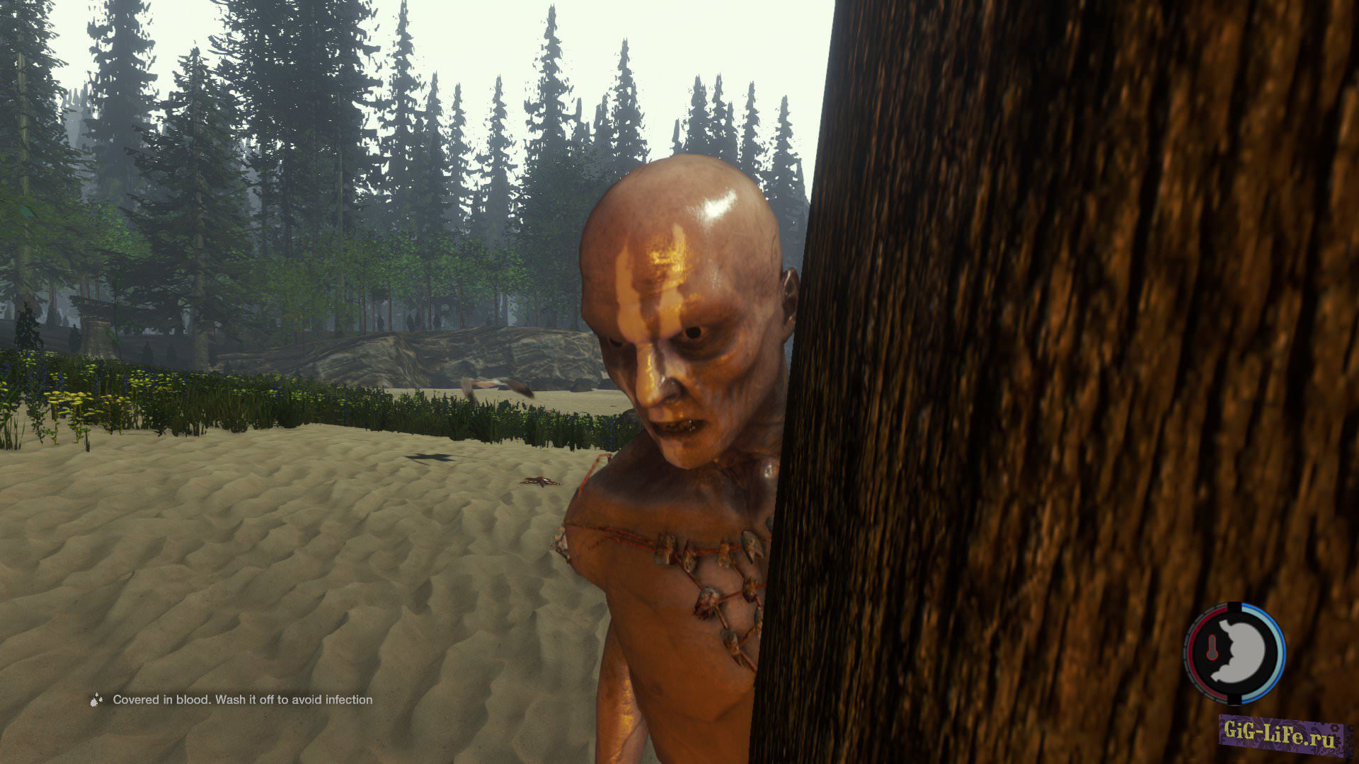 Мирный режим в The Forest