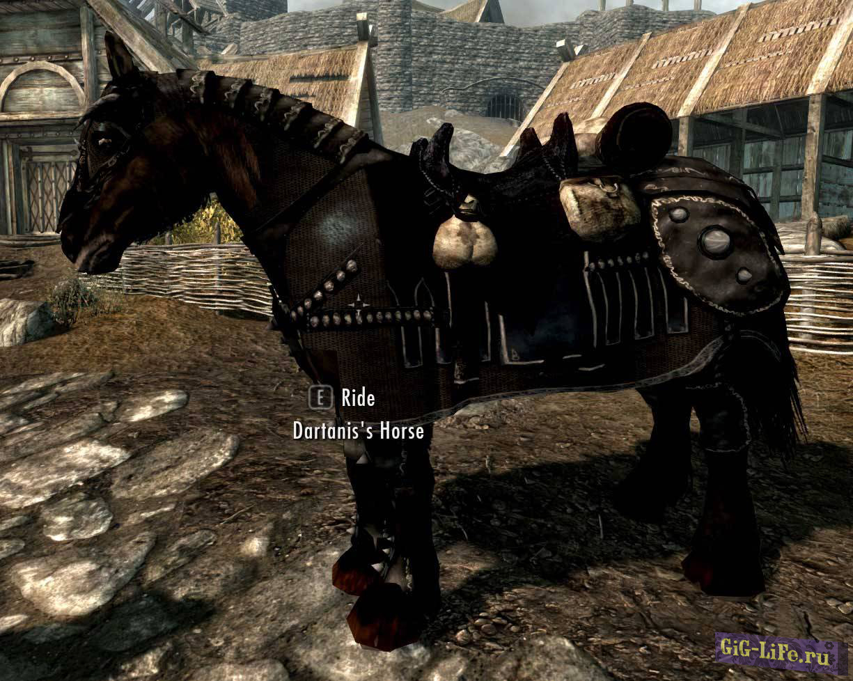 Броня для лошадей