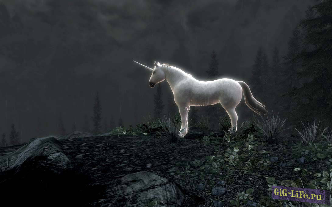 Ездовой Единорог