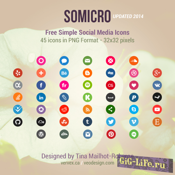 Somicro: 45 Social Media Icons - 45 значков социальных сетей