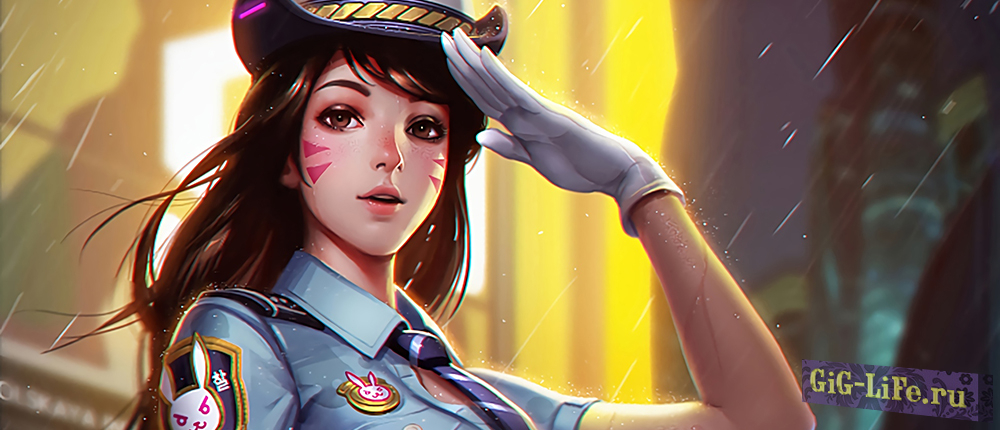 За взлом Overwatch хакеру дали год тюрьмы