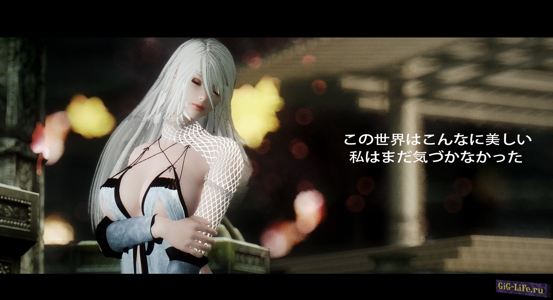 Follower 2B 4.3 - Спутники 2B, A2, 9S из NieR: Automata