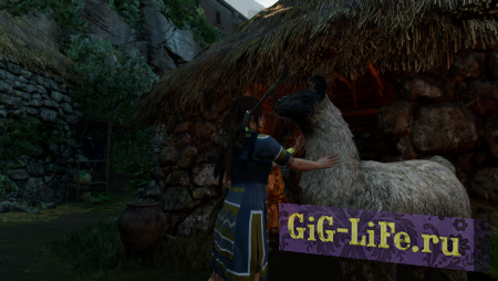 В перерывах между исследованиями гробниц и сюжетом можно погладить ламу