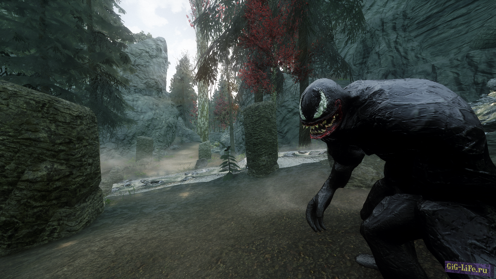 Venom Follower / Ядовитый Веном