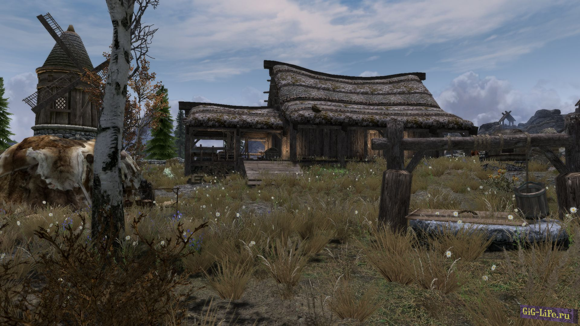 Skyrim — Фермерский дом