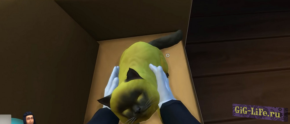 The Sims 4 - режим от первого лица