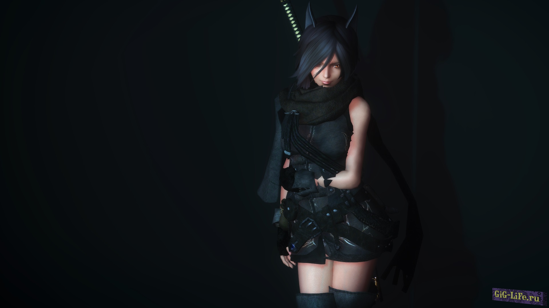 Skyrim — Спутница Рисэ