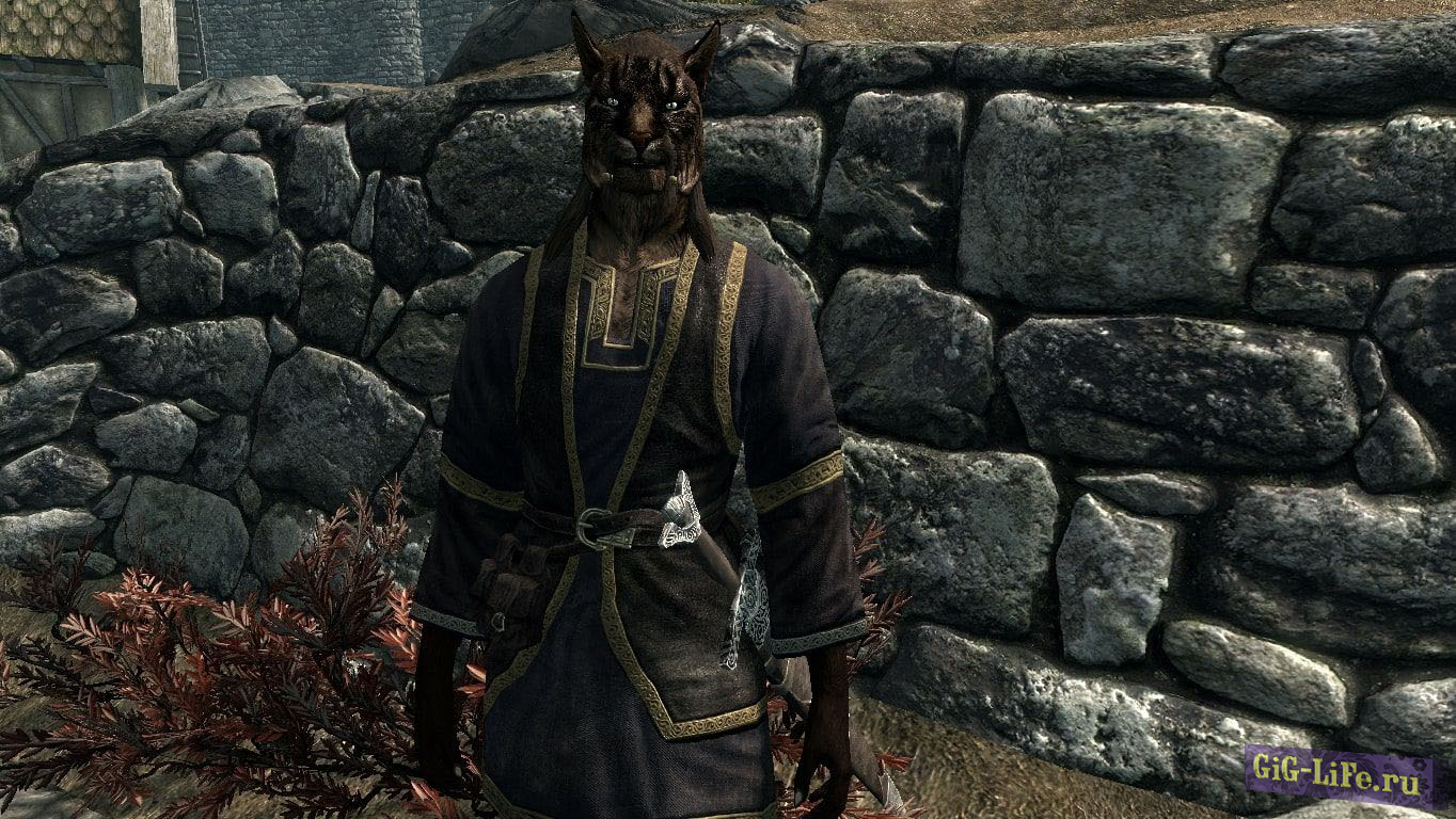 Ма'Квир - торговец и оруженосец