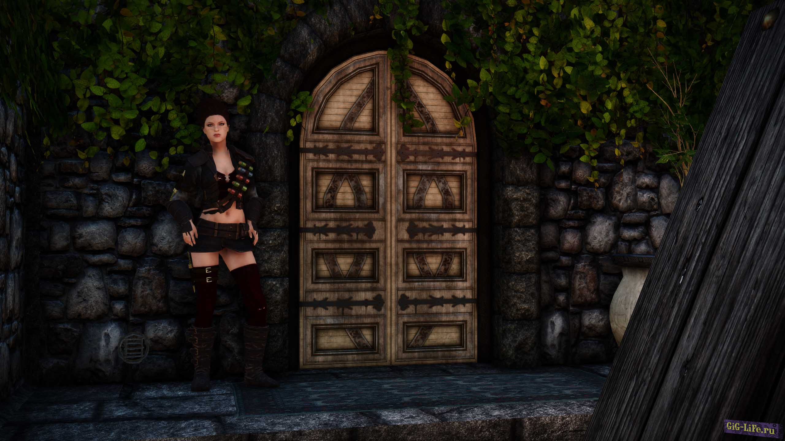 Skyrim — Реплейсер дверей Солитьюда / Glorious Solitude Door Replacer