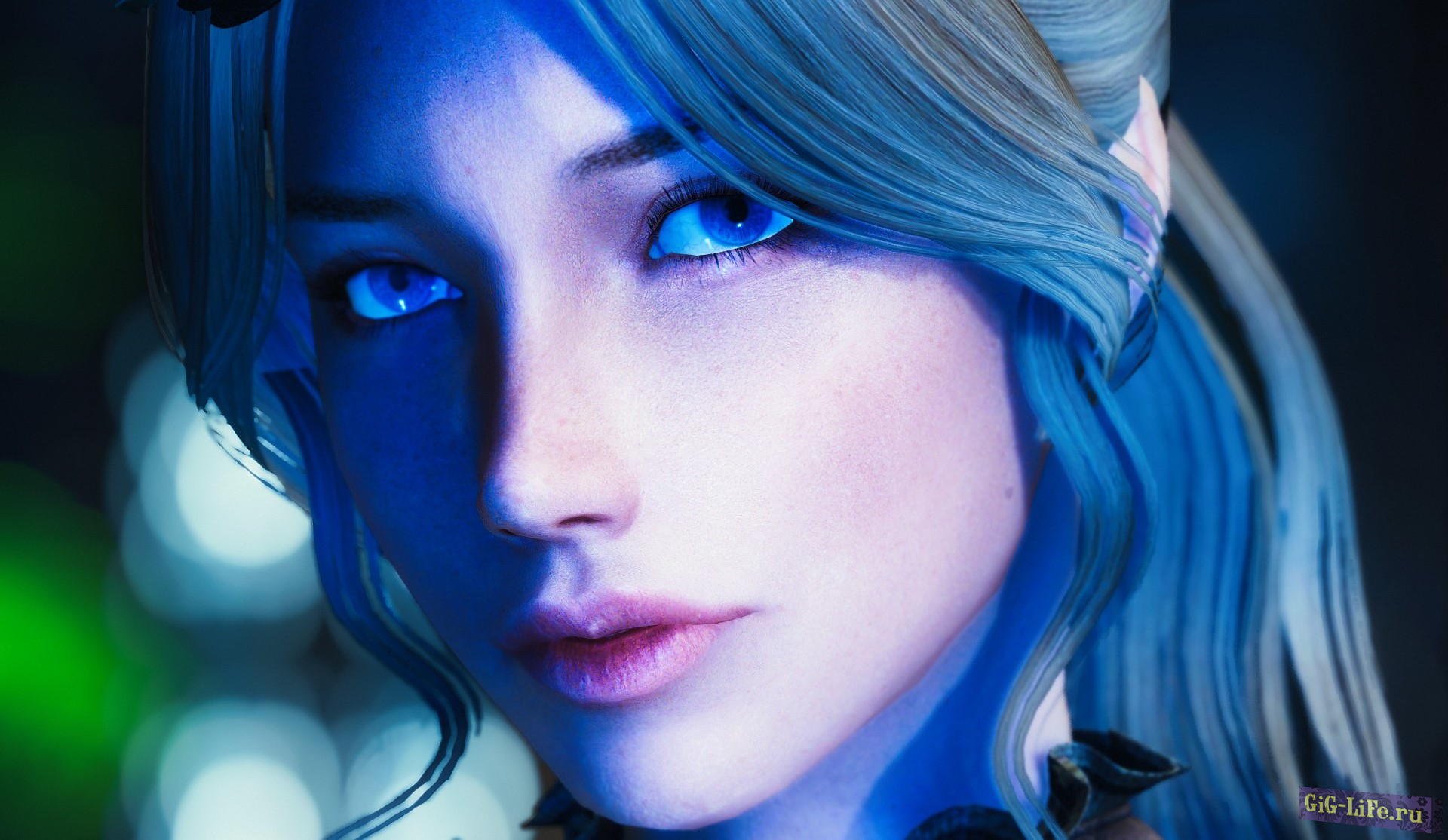 Skyrim — Милая и прекрасная автономная спутница Лира