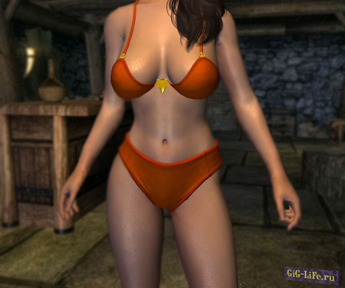 Тело СВВЕ с физикой (полный комплект)