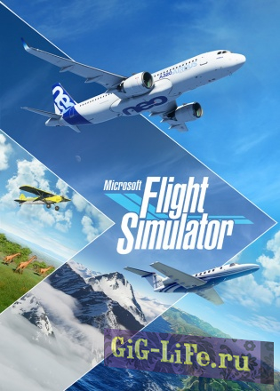 Microsoft Flight Simulator 2020