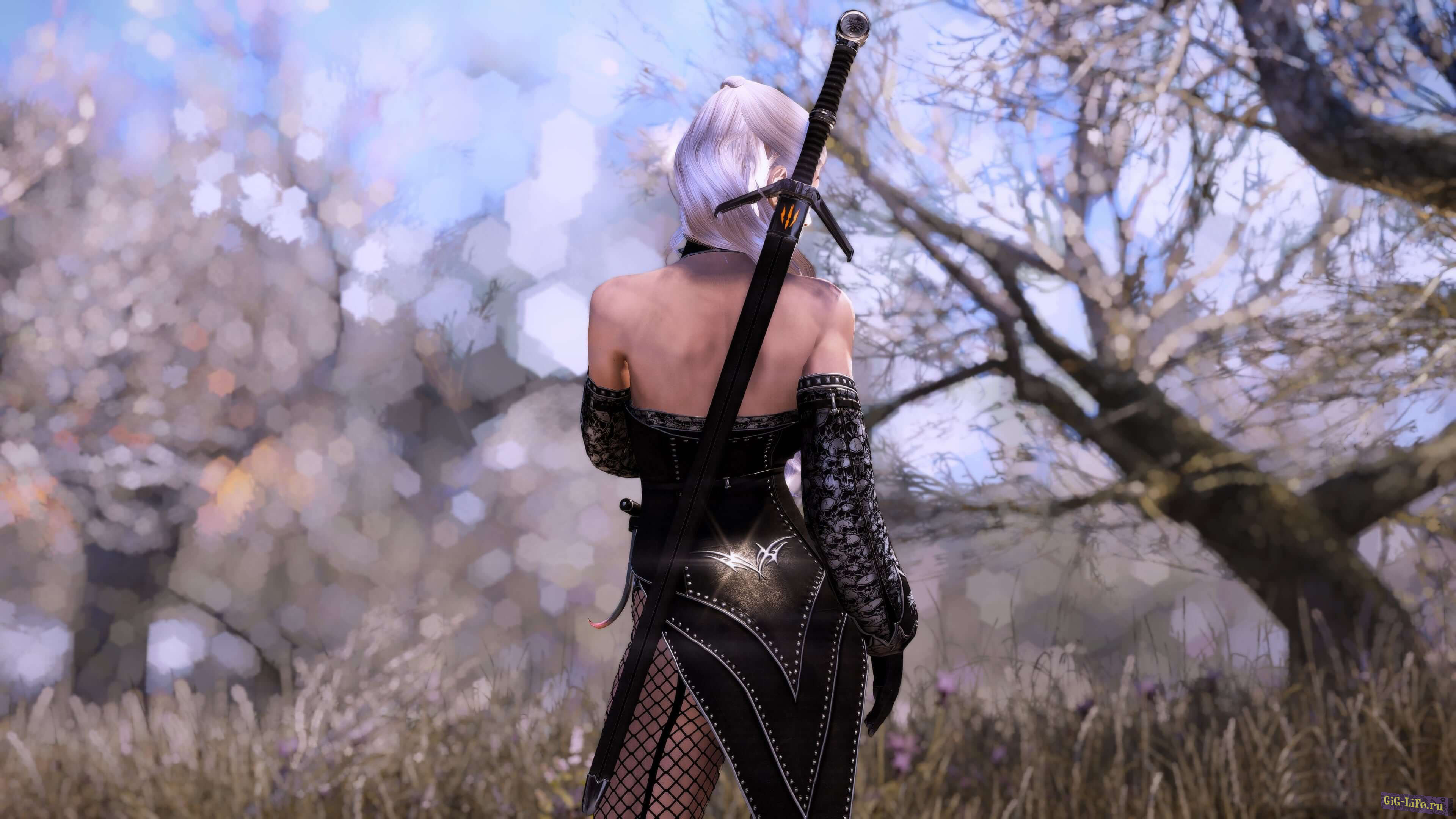 Skyrim — Меч Ведьмака / Witcher sword