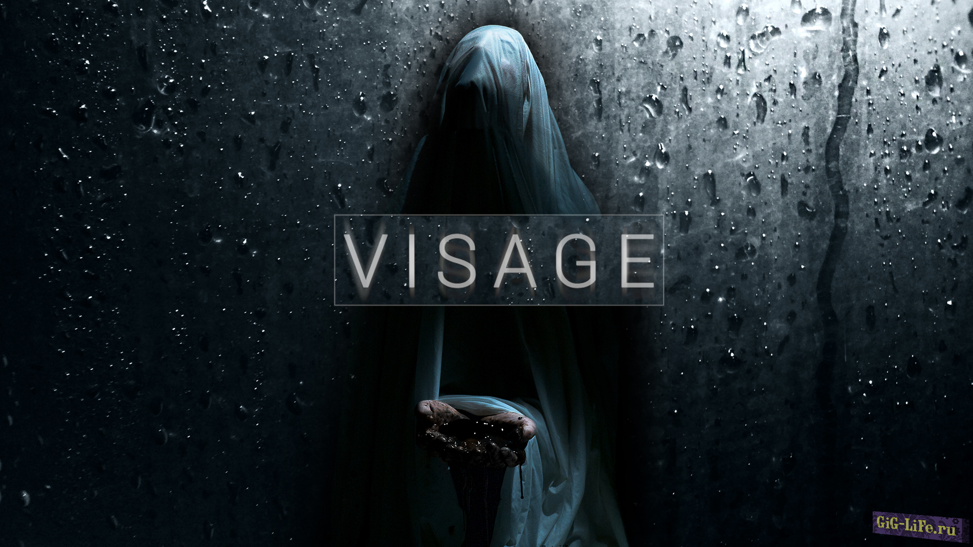 Visage