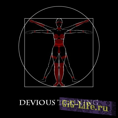 Skyrim — Коварное обучение / Devious Training 2.6