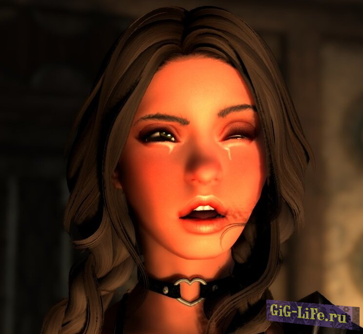 Skyrim — Суть шлюхи / Whorecrux [WCX]