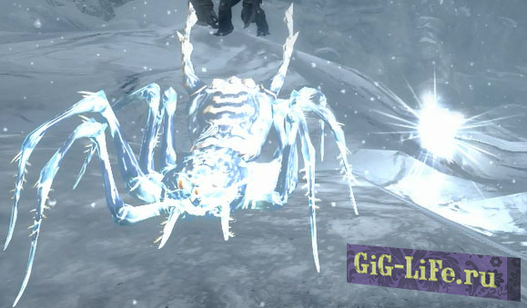 Skyrim — Далия Звездный Паук