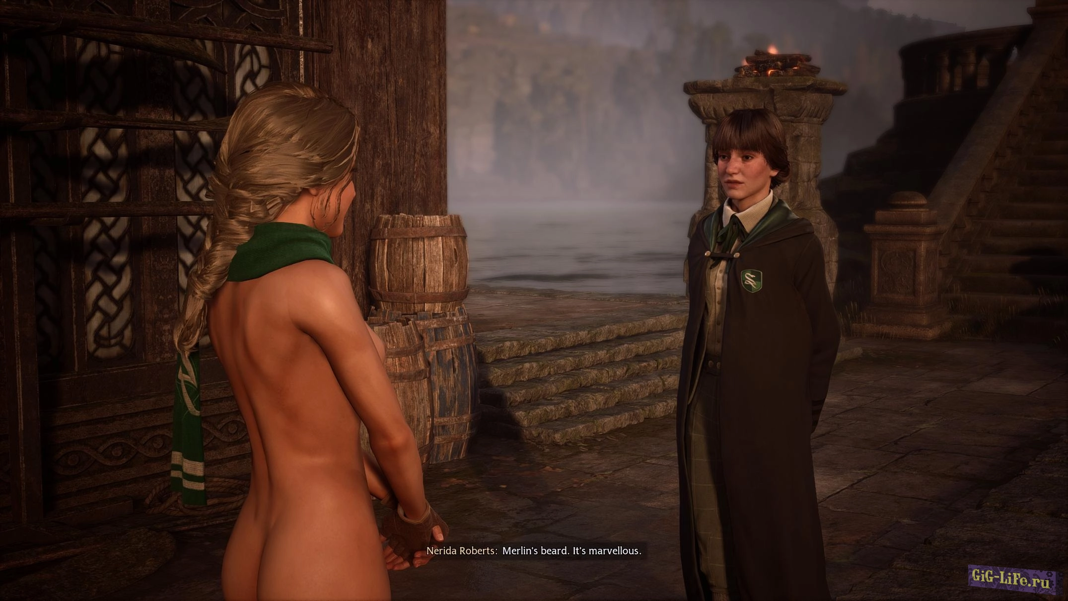 Hogwarts Legacy — Непристойные портреты | Obscene portraits