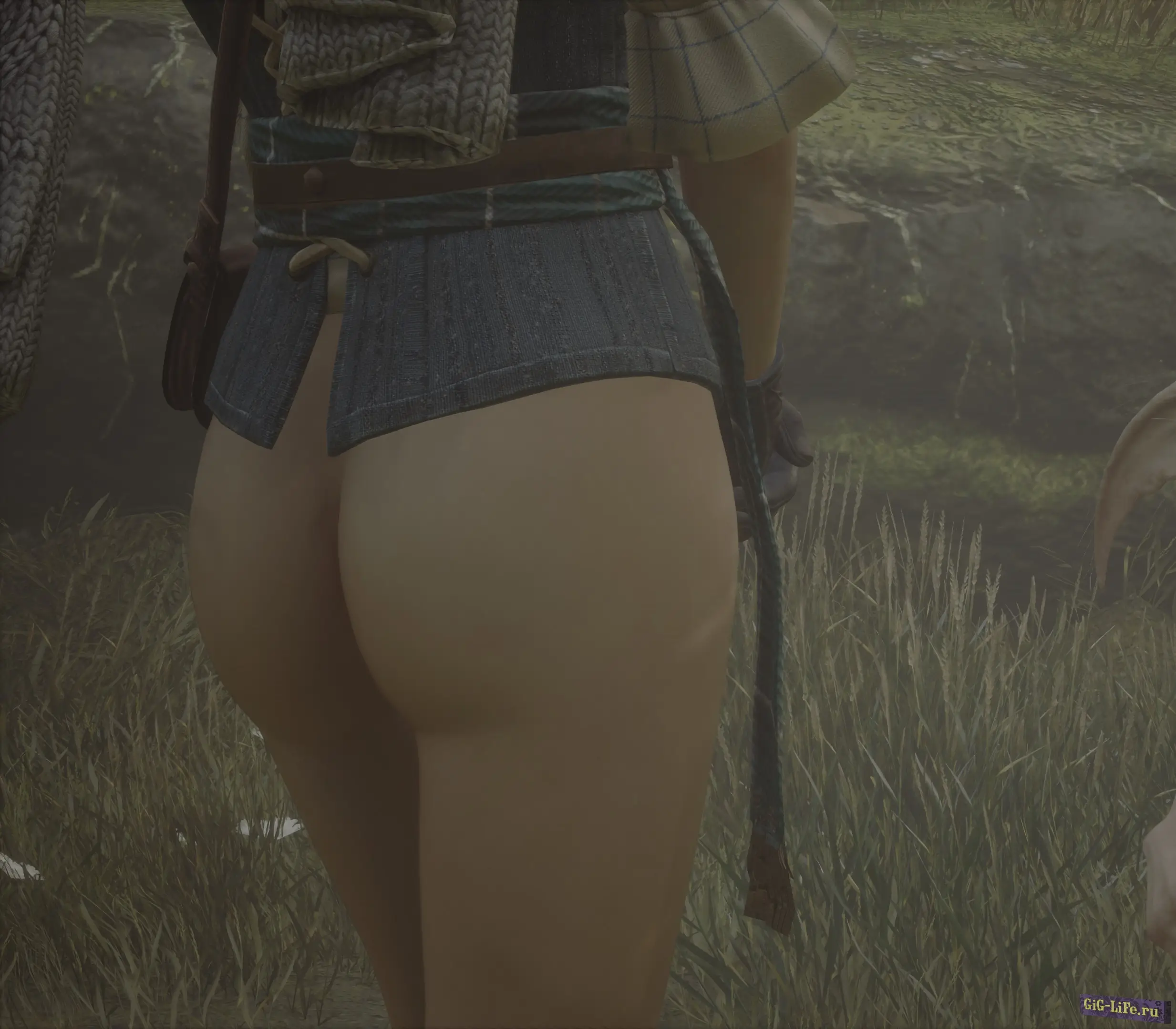 Hogwarts Legacy — Голая попка | Bottomless mod