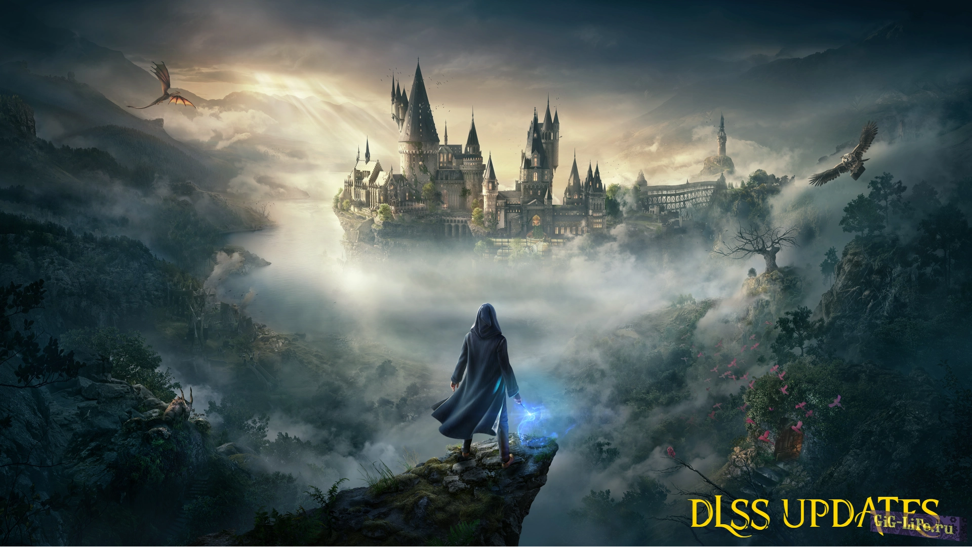 Hogwarts Legacy — DLSS обновление | DLSS Updates