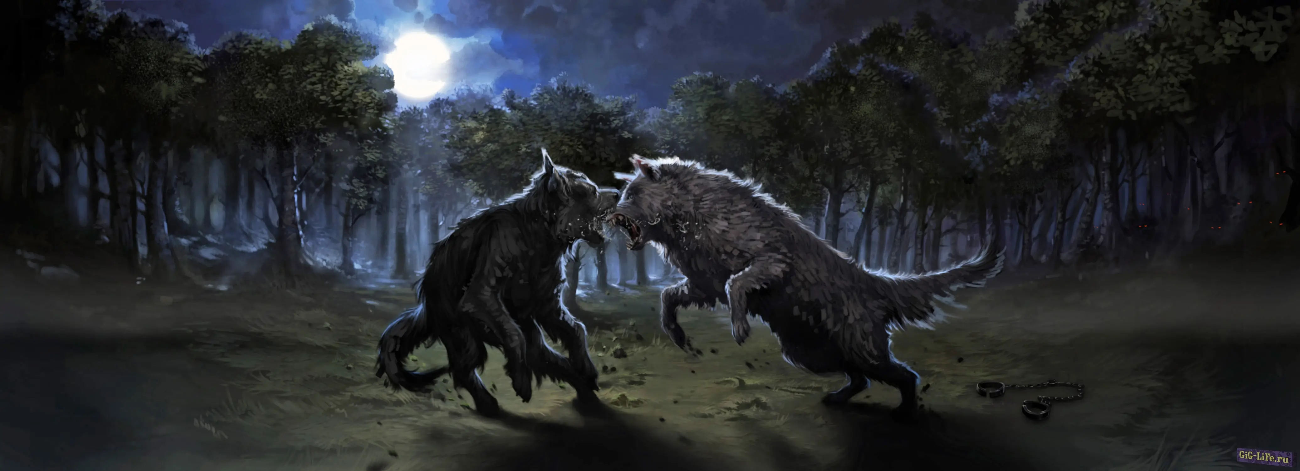 Hogwarts Legacy — Привет волк | Hello Wolves