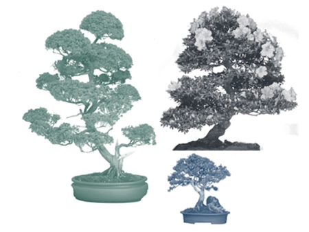 Кисть для фотошопа - Бонсай из Японии | Bonsai from Japan
