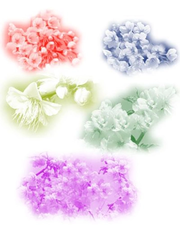 Кисть для фотошопа - Японская вишня | Japanese Cherry