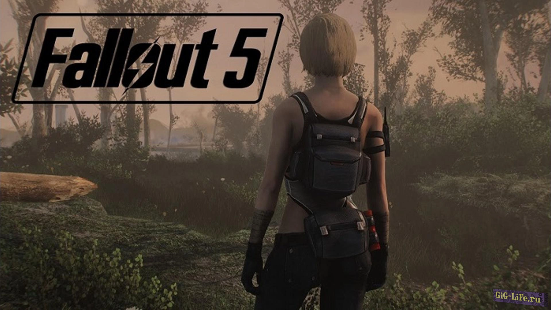 Fallout 5 — задумки сериала и игры совпадают?