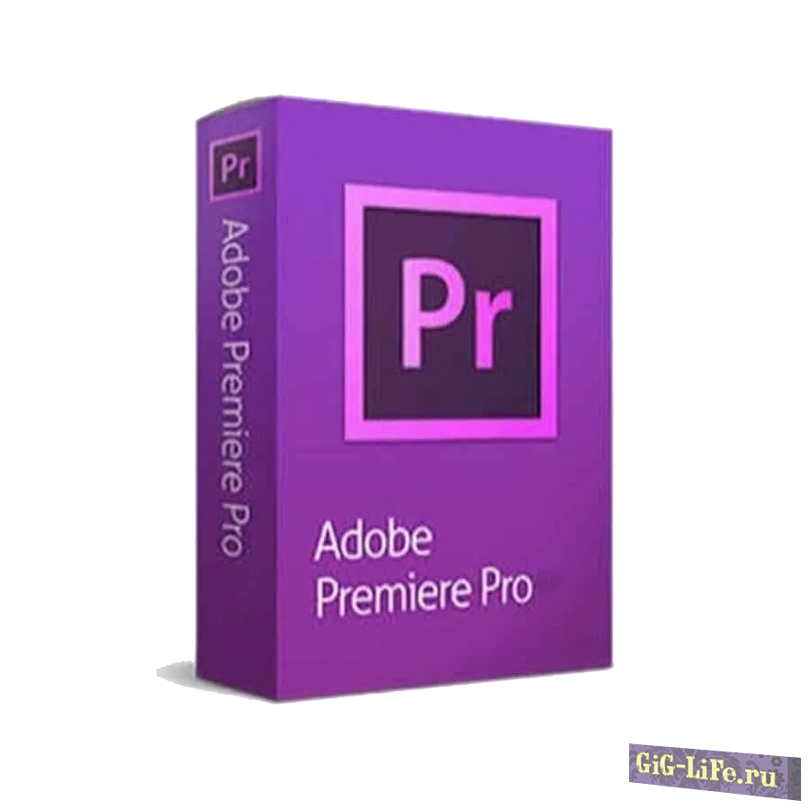 Adobe Premiere Pro 2024