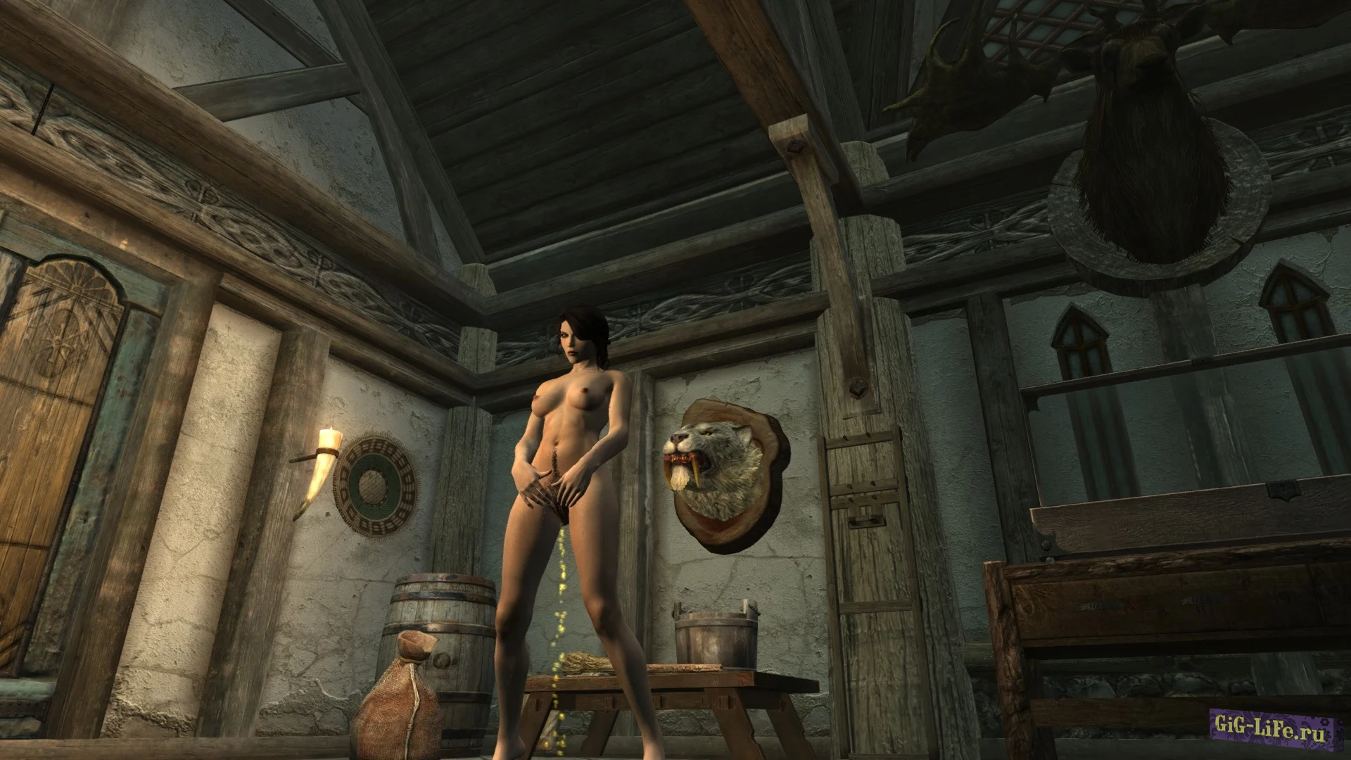 Skyrim — Мочеполовая система | Pee And Fart