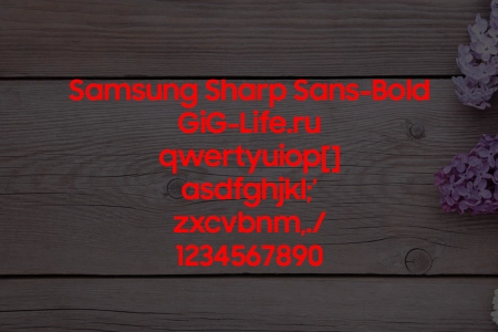 Samsung Sharp Sans Bold