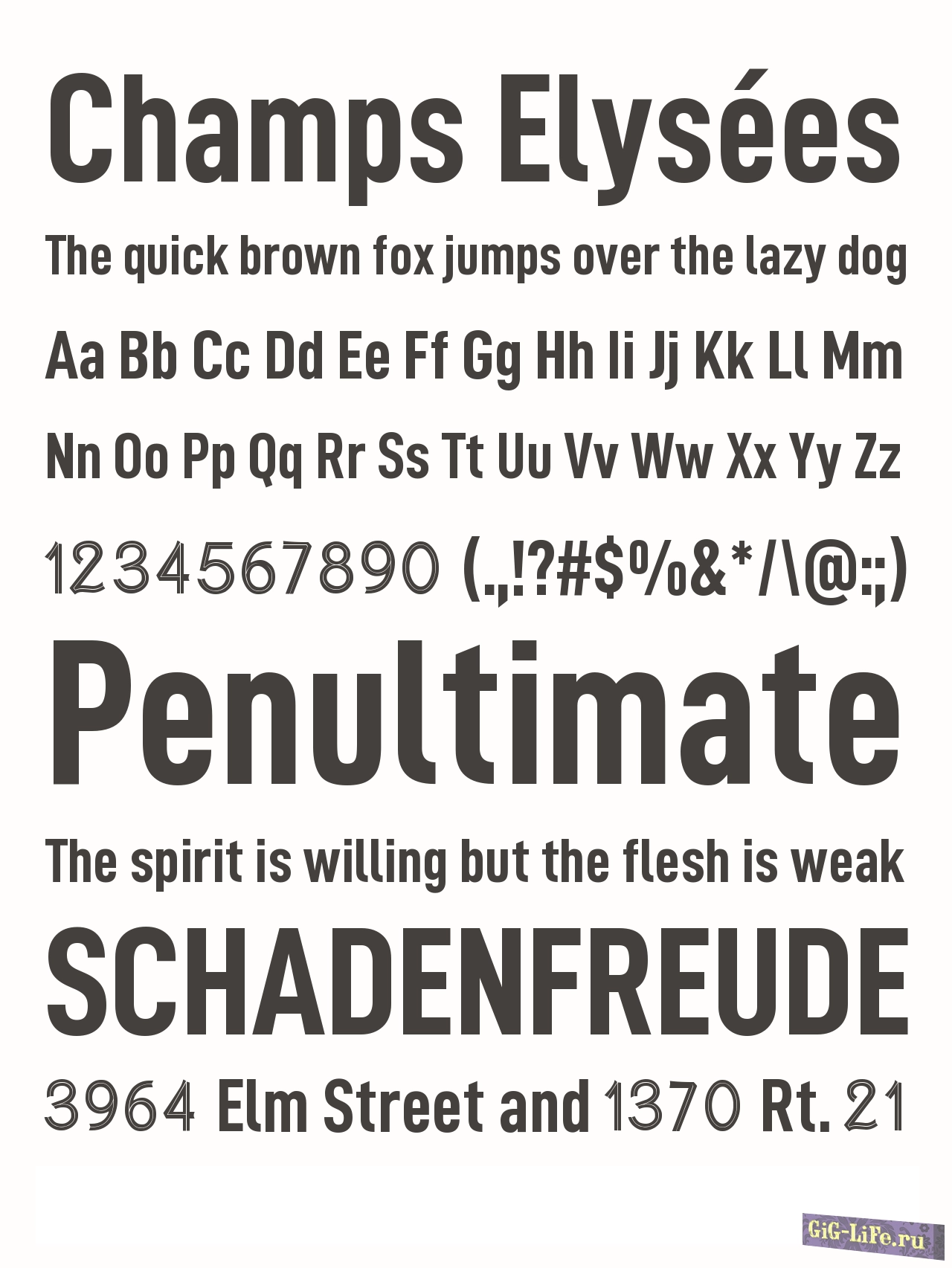 Шрифт — Champs Elysées
