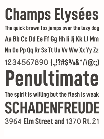 Шрифт — Champs Elysées